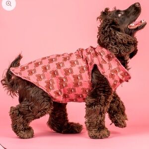 NWOT Pablo & Co Teddies Teddy Coat Puffer Vest & Matching Leash